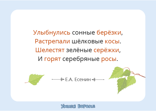 Олицетворение - что это такое, определение термина в литературном словаре Эксмо