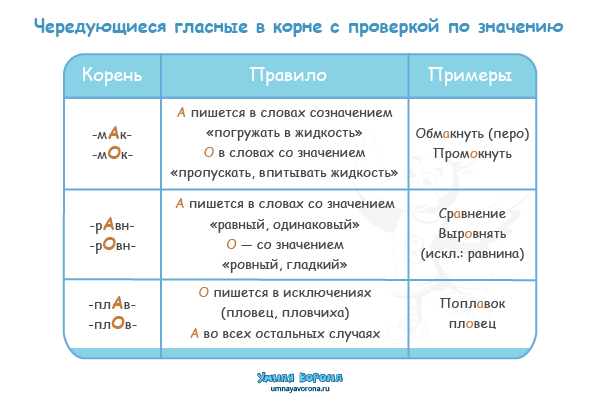 «Пловец» или «плавец»: как правильно пишется слово