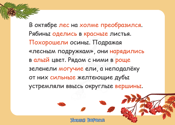 Синонимы: виды, значение, функции, как появляются в языке