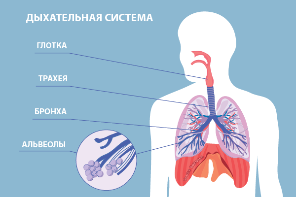 Что такое аэрофагия