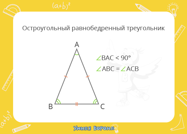 Математика: виды треугольников по углам