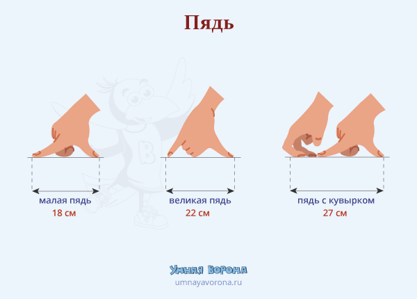 Пядь - 17,78 см