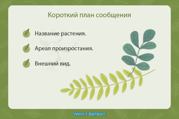 Организация проектной деятельности младших школьников на уроках окружающего мира